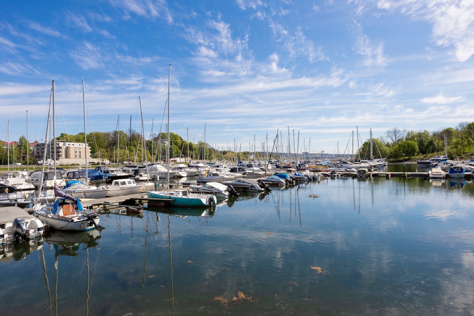 Frognerkilen. Galleribilde