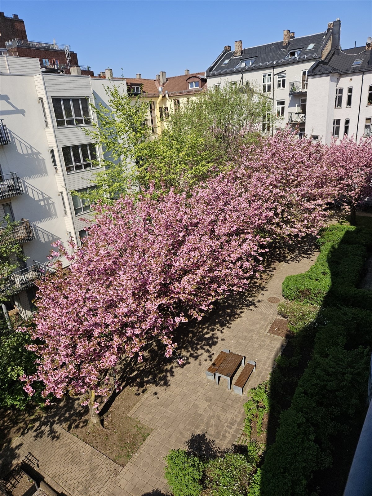Selgers eget bilde av bakgården Galleribilde