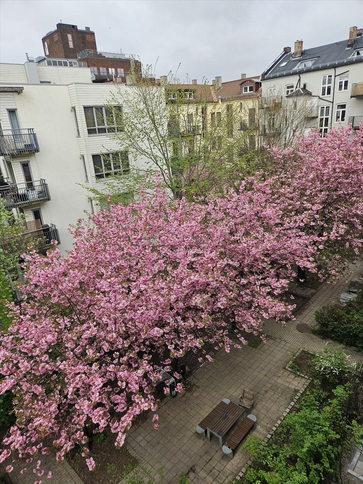 Selgers eget bilde av bakgården Galleribilde