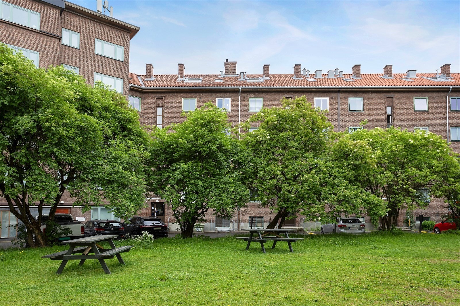 Fint grøntområde like utenfor leiligheten. Galleribilde