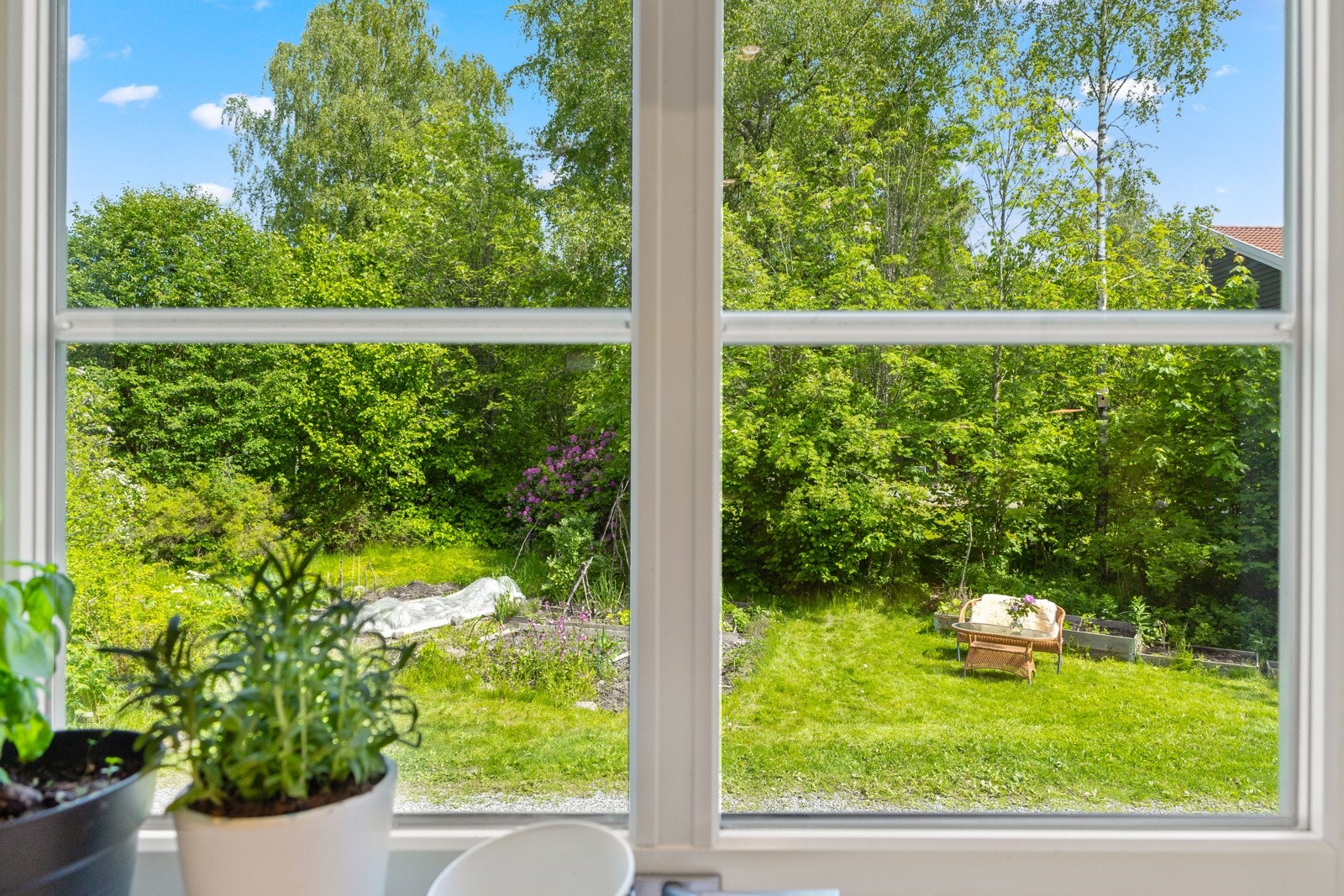 Mens du lager middag, kan du nyte et rolig og grønt utsyn fra kjøkkenvinduet. Galleribilde