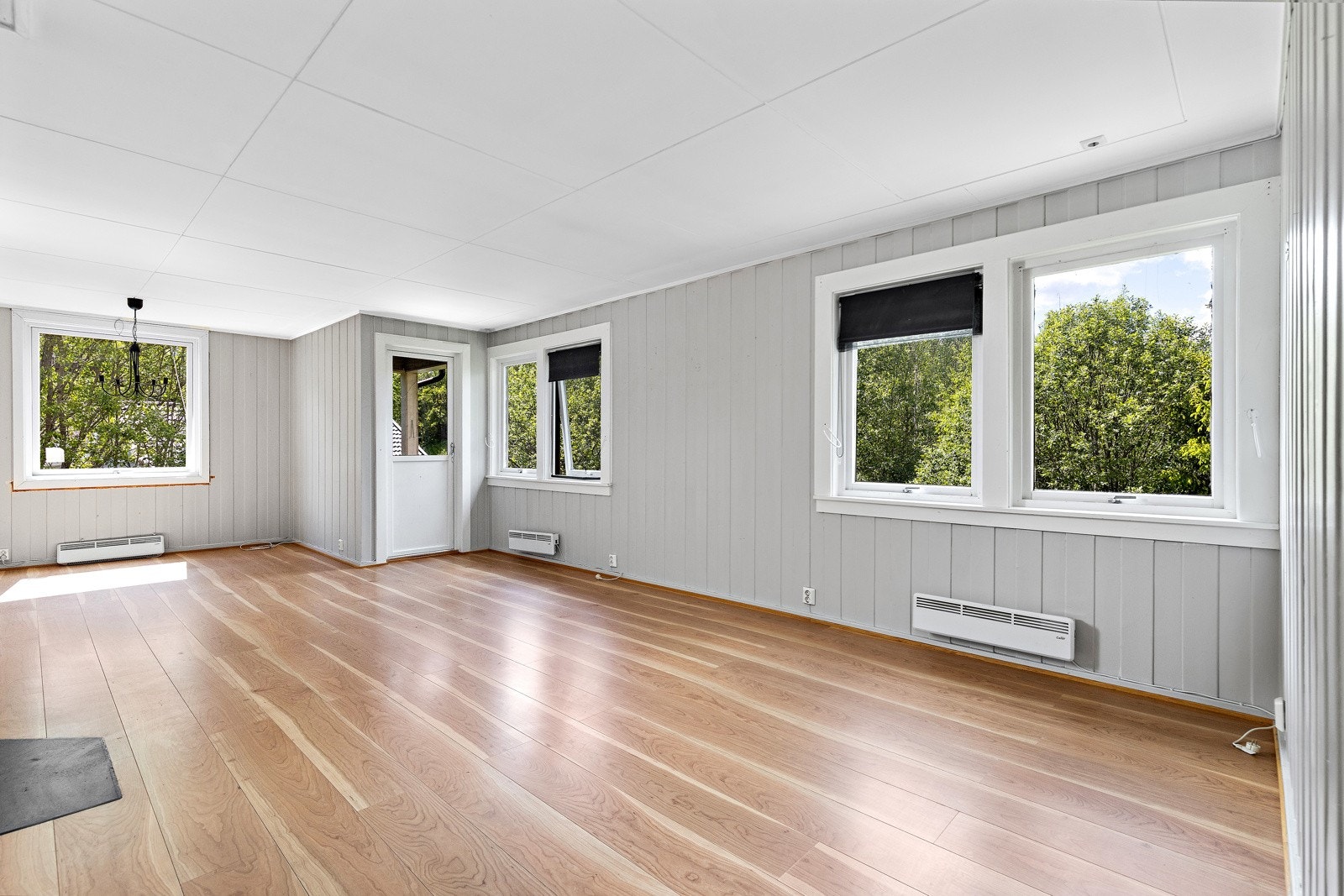 Lys og pen stue med masse naturlig lys. Galleribilde