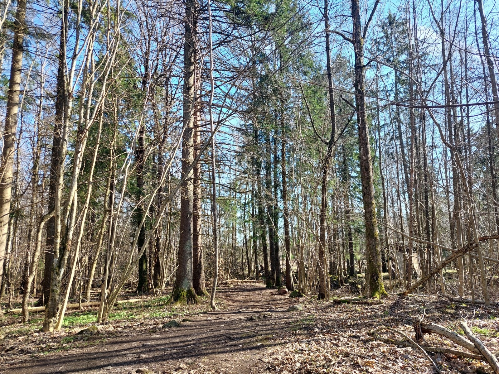 Rett på utsiden av blokka finner vi fine turområder Galleribilde
