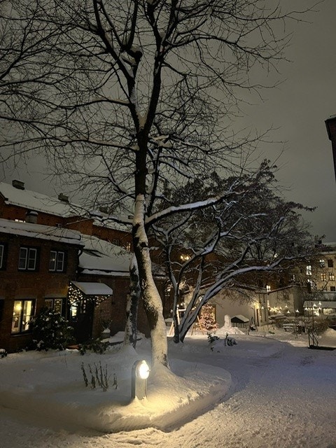 Bakgården pyntes til jul med julegrantenning, pepperkaker og gløgg. Vaktmesteren vår Simen passer på at det alltid er ryddig, trygt, trivelig og at snøen er ryddet i gården. Galleribilde