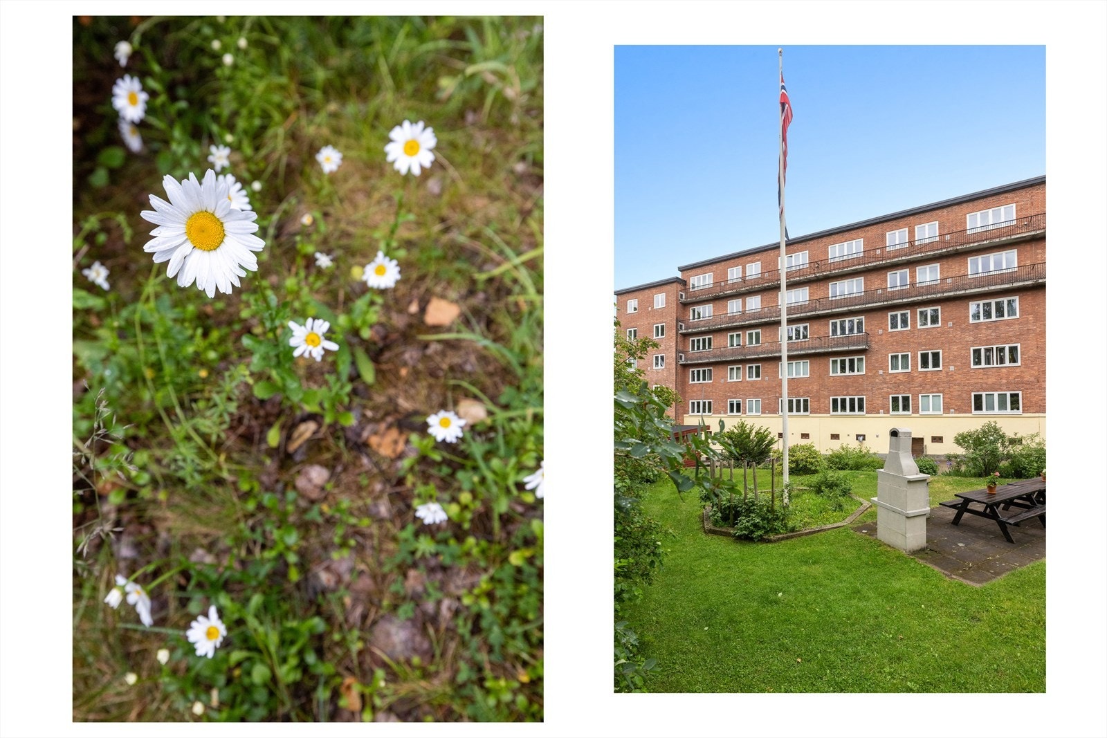 Stort fellesareal opparbeidet med asfalterte adkomstveier/plasser, gressplen, beplantning, parkeringsarealer m.m. Galleribilde