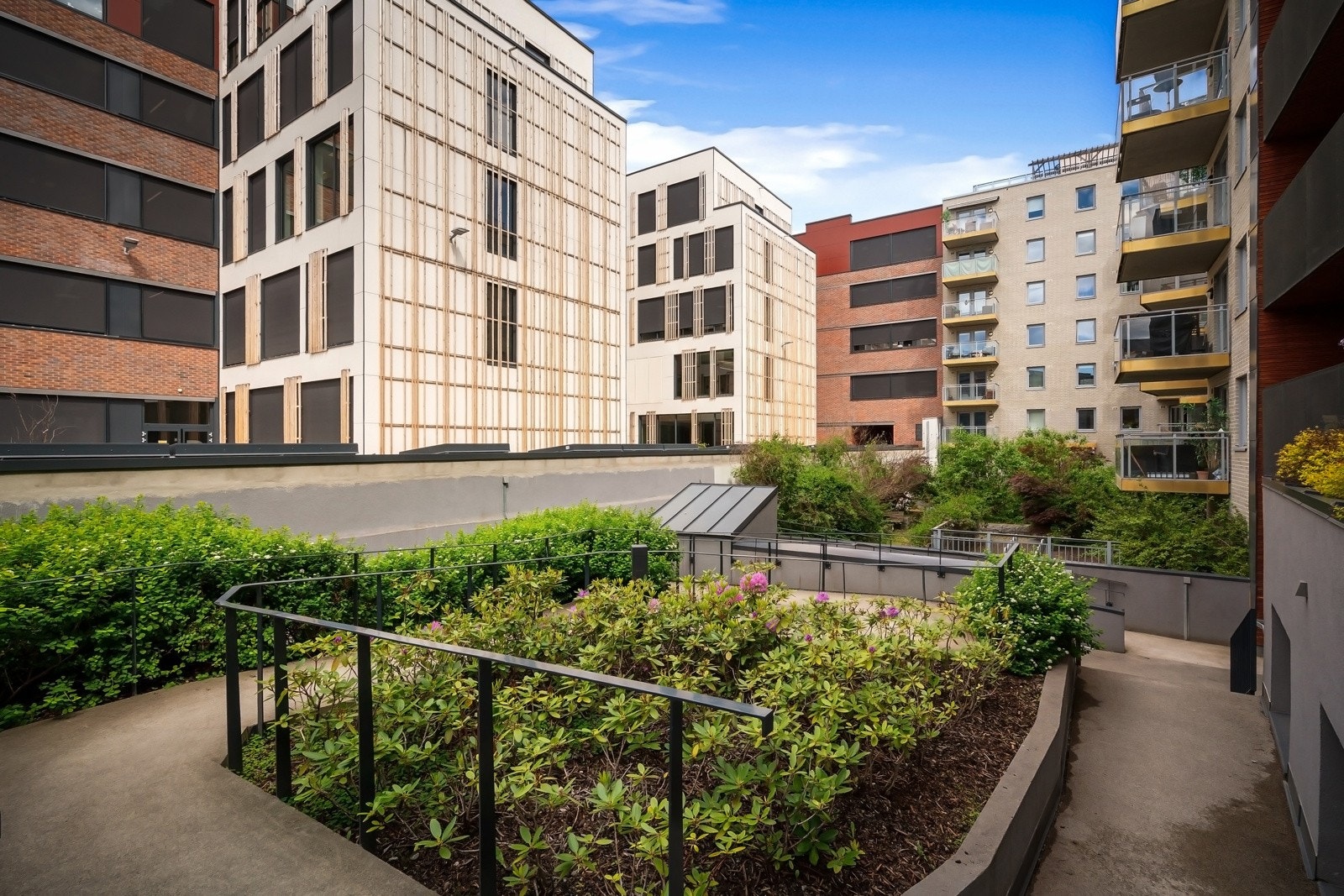 Frodig bakgård som er godt vedlikeholdt Galleribilde