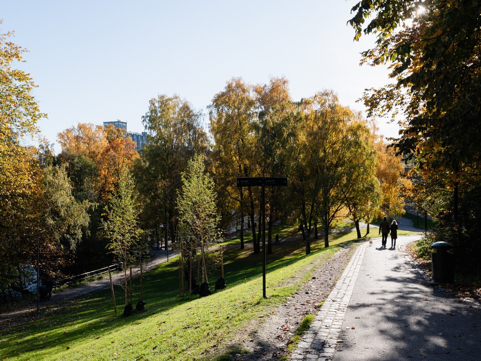 Nærområdet Galleribilde