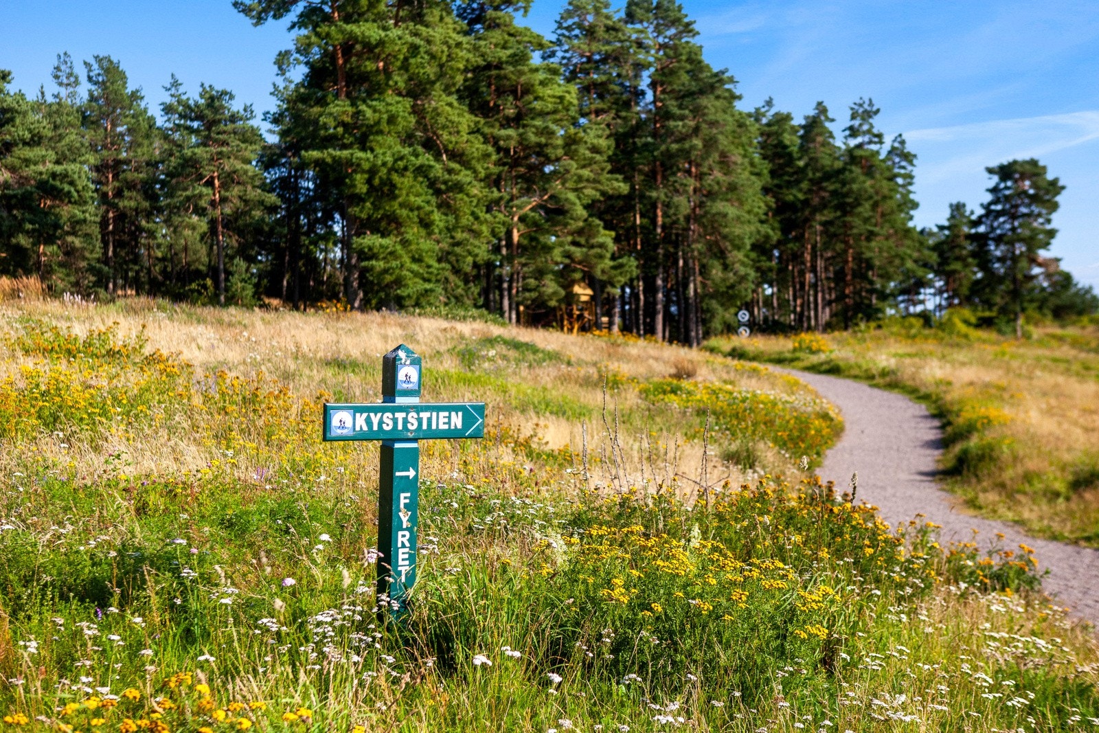 Syd på Jarlsø er det et idyllisk skogsområde som brer seg ut mot Oslofjorden. Her er det mulighet for god rekreasjon langs mosegrodde stier under trekronene. Galleribilde