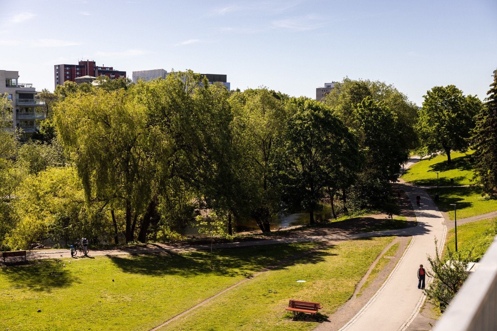 Parken bugner av blomstrende trær og prydbusker vår og sommer, men er også vakkert på vinterstid med frostrøyken fra elva rundt gatelysene. Galleribilde