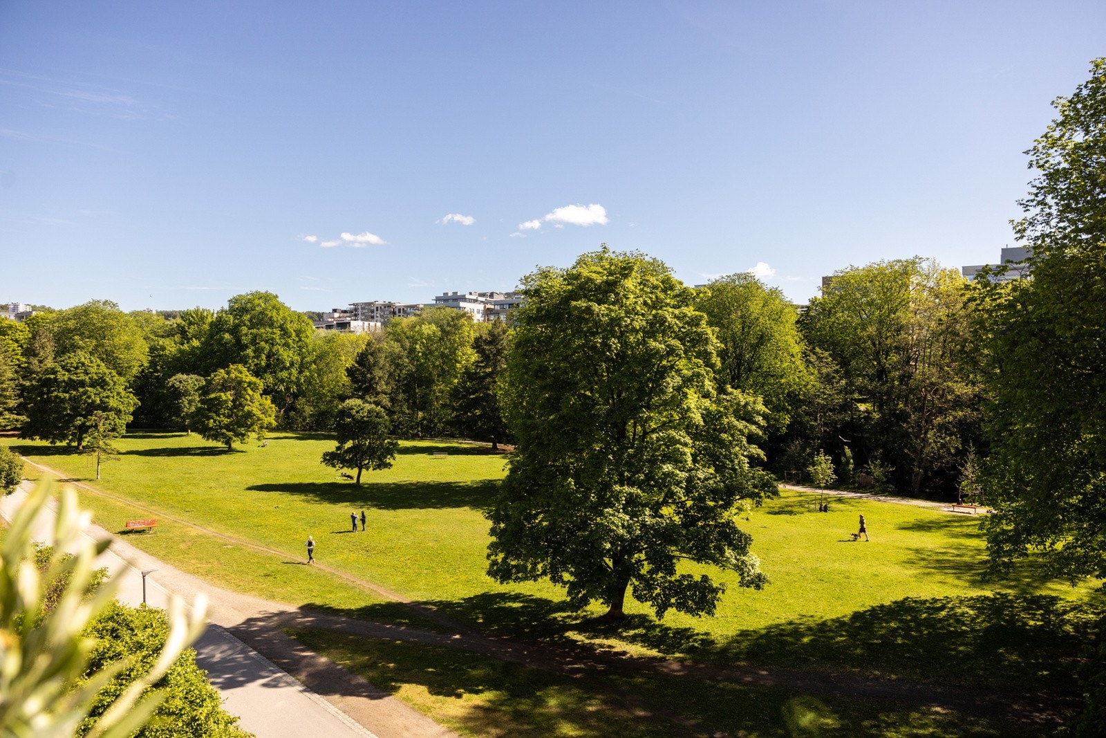 Parken rett på utsiden! Galleribilde