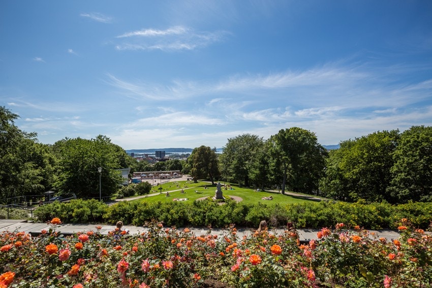 Grønne og frodige omgivelser - St. Hanshaugenparken på sitt beste Galleribilde
