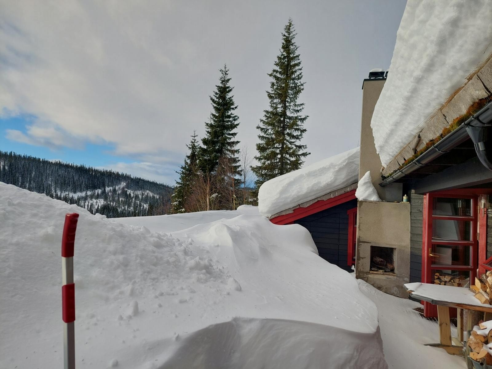 Privat bilde Galleribilde