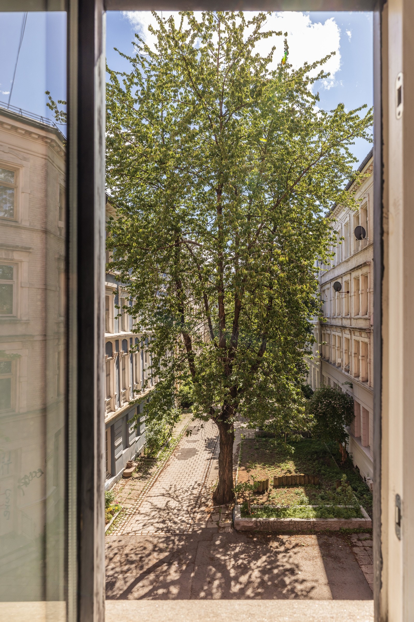 Samt en fantastisk utsikt. Galleribilde