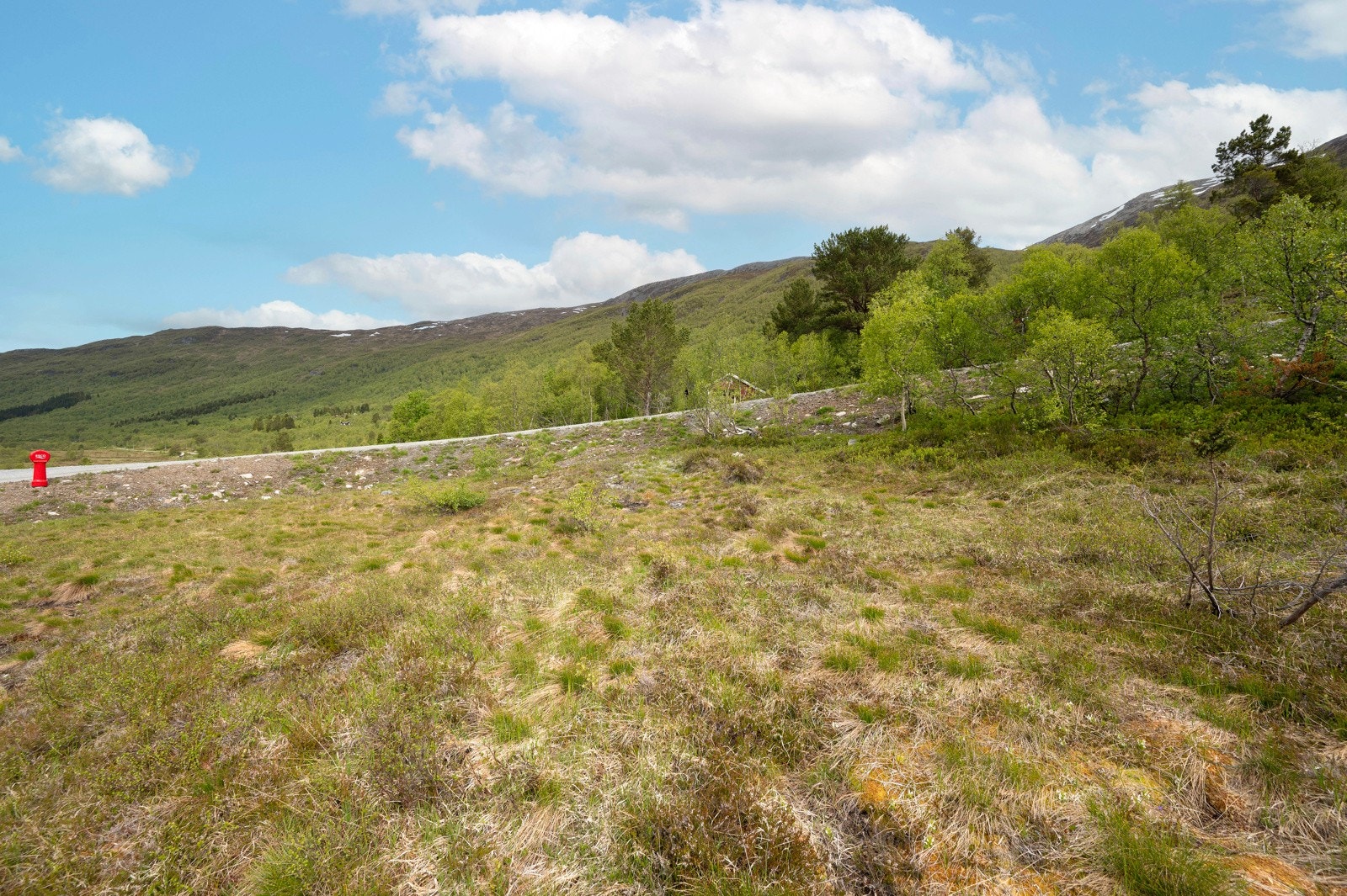 Tomten er sørvestvendt og ligger i skrående terreng. Galleribilde
