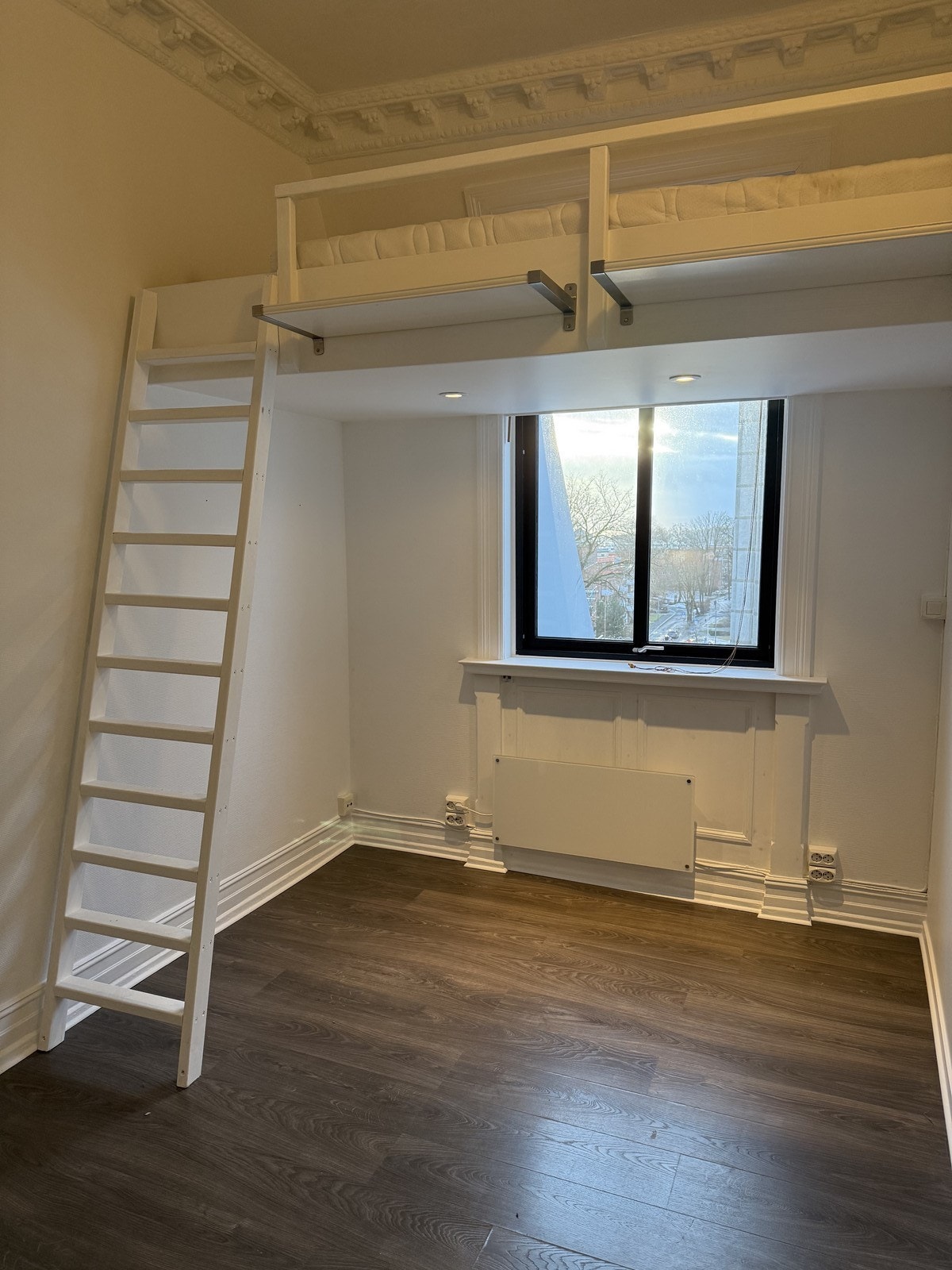 Hybelrom med sovehems Galleribilde