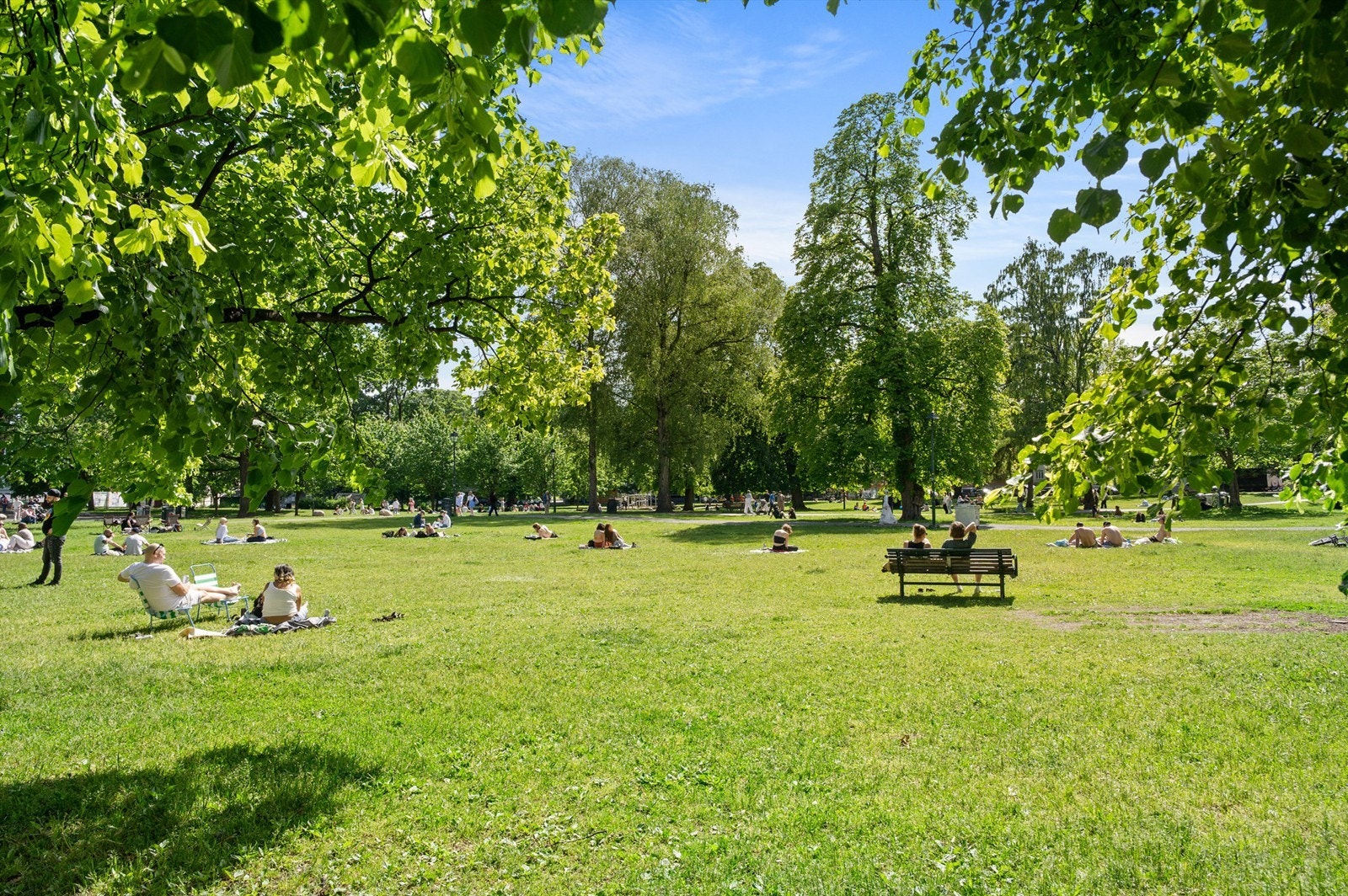 Flotte parker finnes også rett i nærheten, bl.a. Sofienbergparken som du finner rett utenfor døren. Spaserer du oppover vil du komme til trehusidyllen på Rodeløkka, spaserer du motsatt retning av Grünerløkka kommer du frem til Botaniske Hage og videre bor Galleribilde