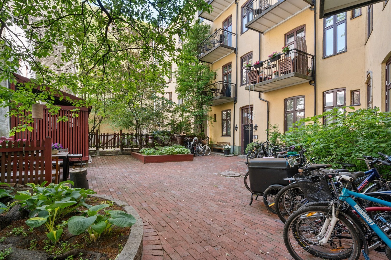 Flott og pent opparbeidet bakgård. I bakgården finner du blant annet et nydelig morelltre som blomster om våren og klatreplante på nabobygget som får en flott rødfarge på høsten. Galleribilde