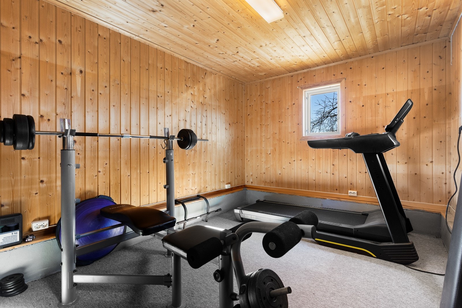 Eget treningsrom i garasjen. Galleribilde