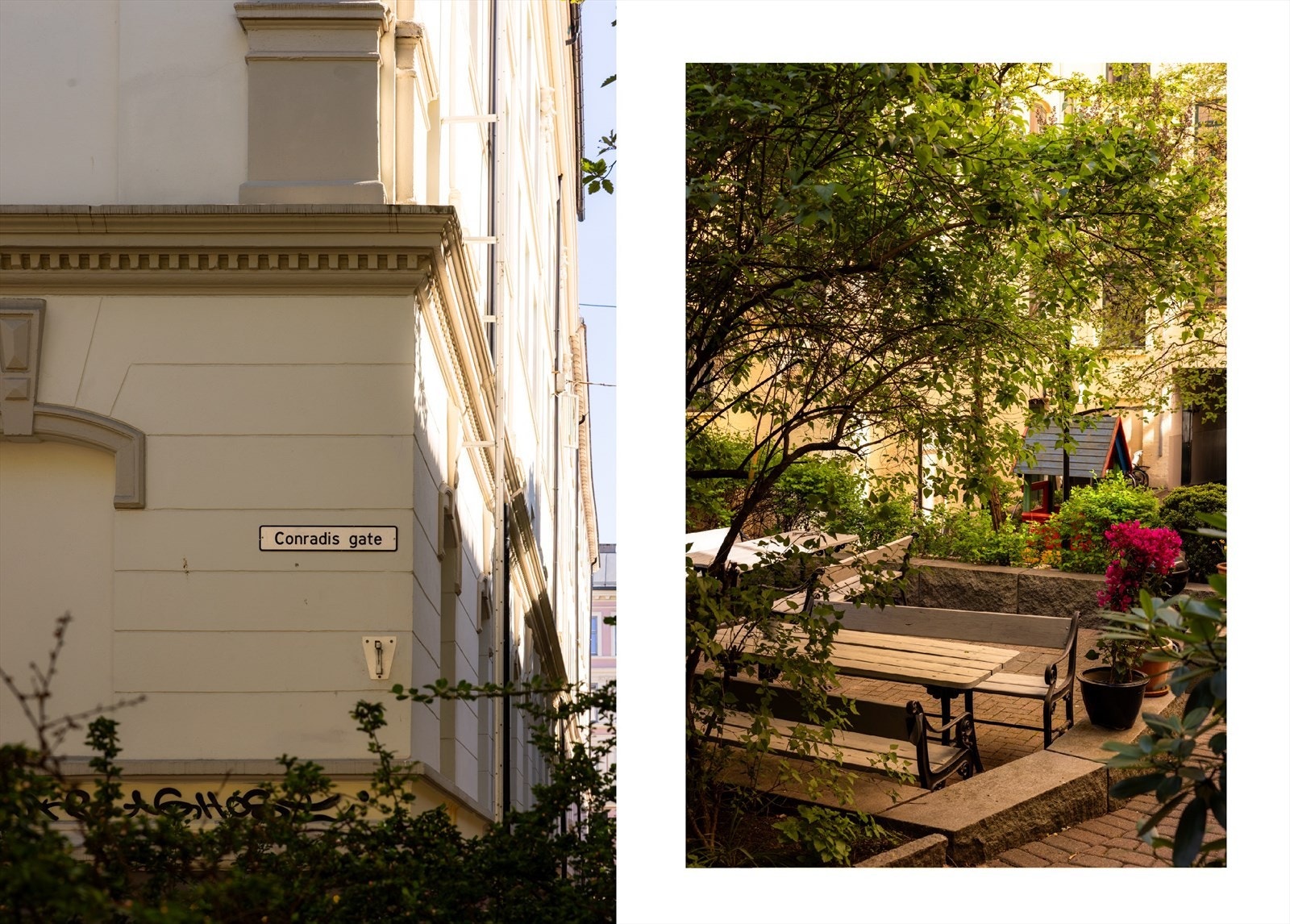 Dette er et hyggelig og veldrevet borettslag med grønne fellesareal i bakgård. Galleribilde