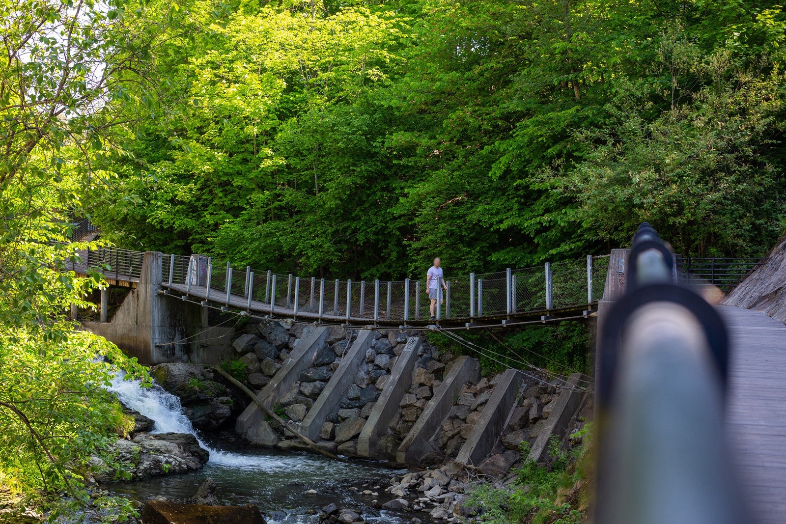 Nærområdet - Flotte turområder i nærområdet, her ser vi Svartdalsparken avbildet. Galleribilde