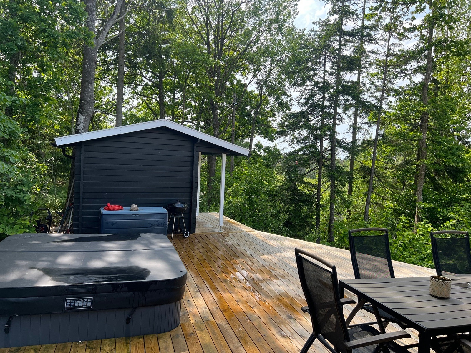 Nå kan sommeren bare komme! Galleribilde