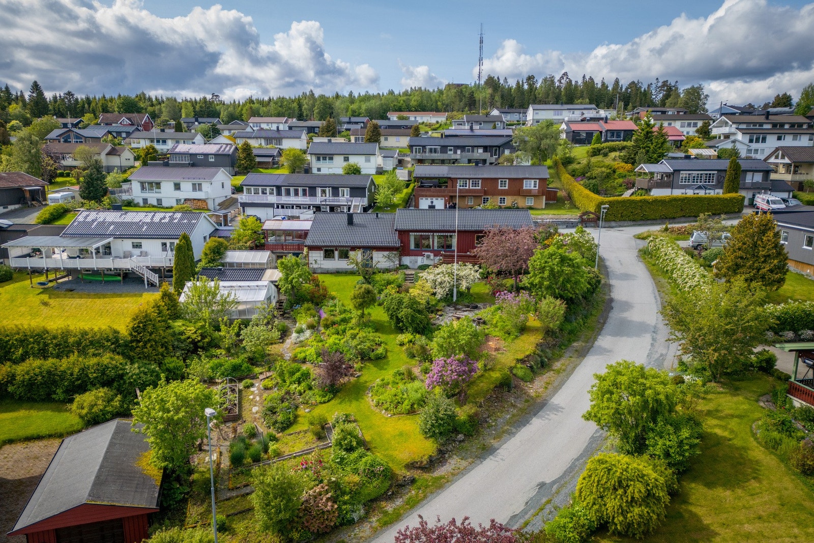 Stor tomt som er rikt beplantet og med svært velholdt hage Galleribilde