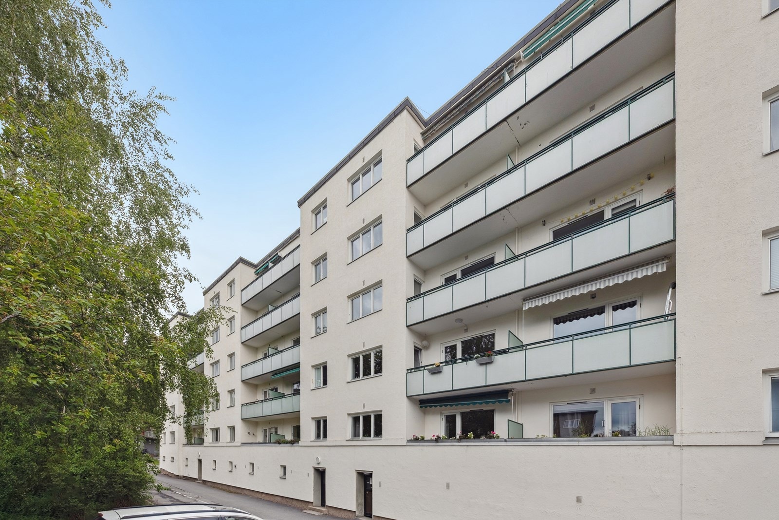 Fasade. Galleribilde