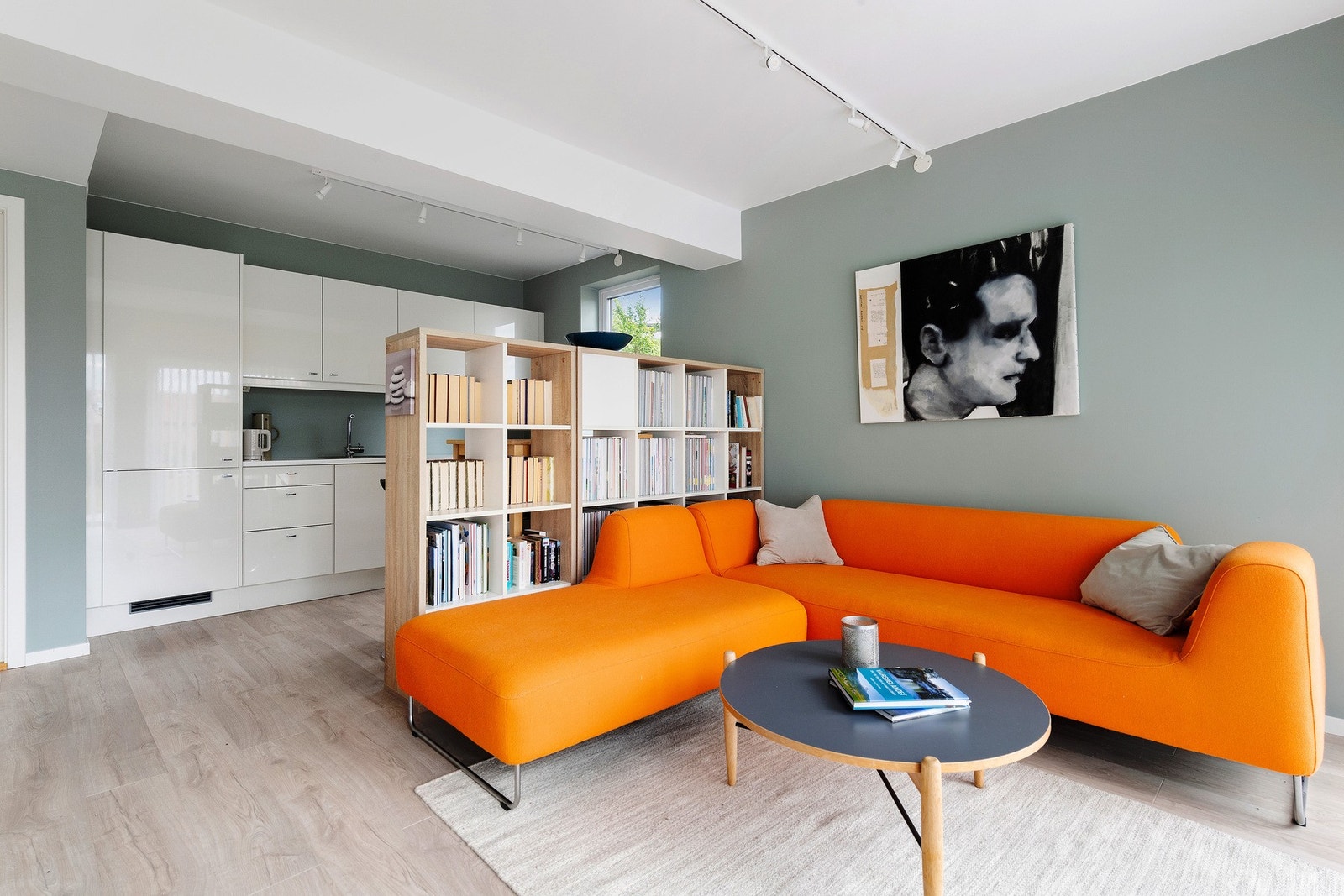 Utleiedel: Åpen- stue og kjøkkenløsning Galleribilde