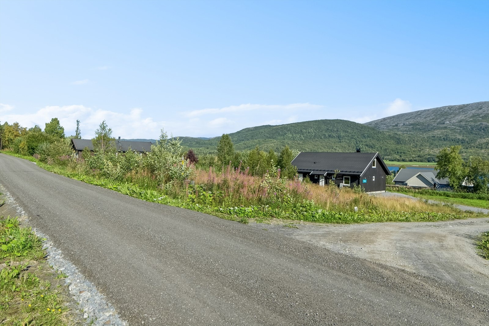 Vei helt frem til ytterdøra. Galleribilde