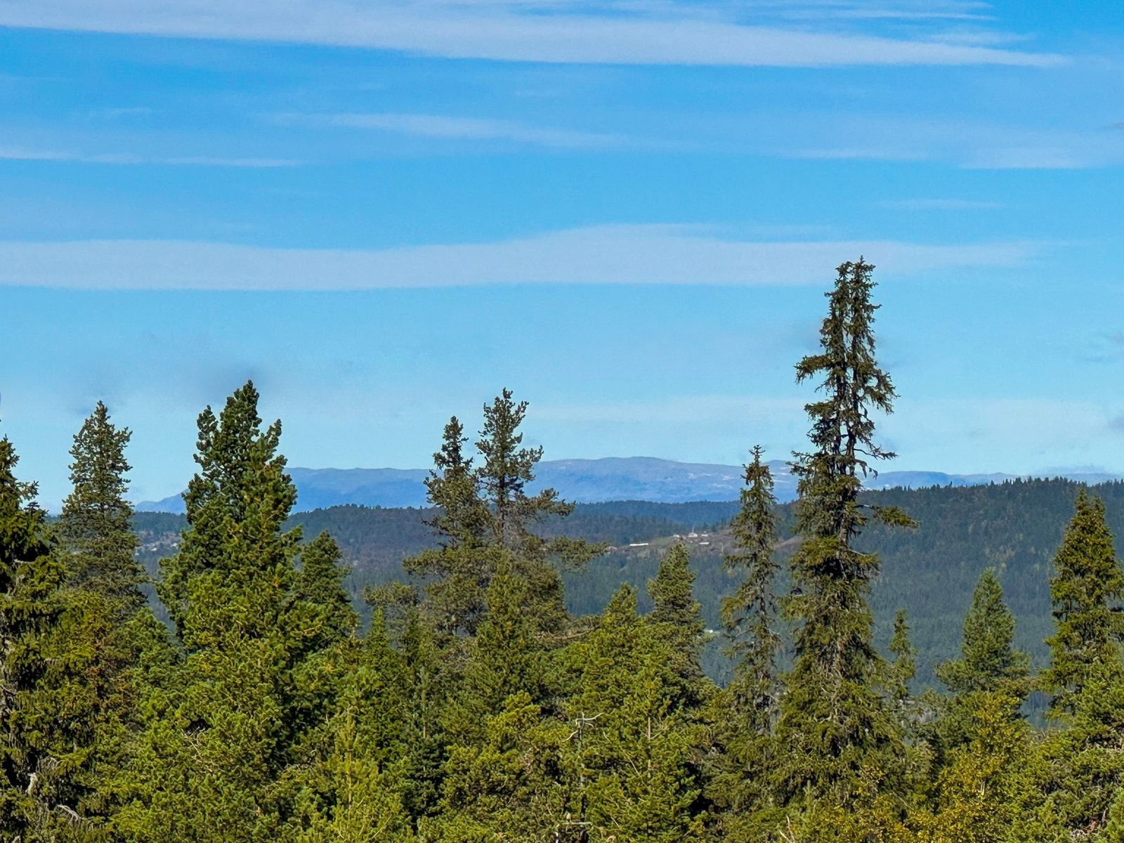 Eiendommen ligger i et tureldorado med kort vei til snaufjellet og er perfekt for tur- og/eller langrennsentusiaster Galleribilde
