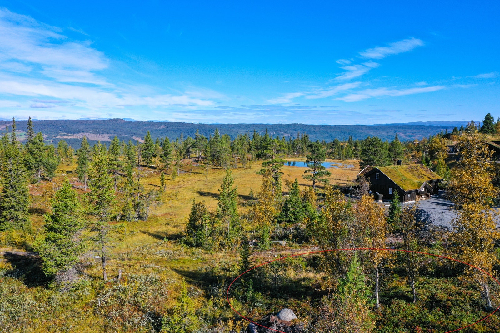 Her presenteres en sjelden anledning på Nystølen! Galleribilde