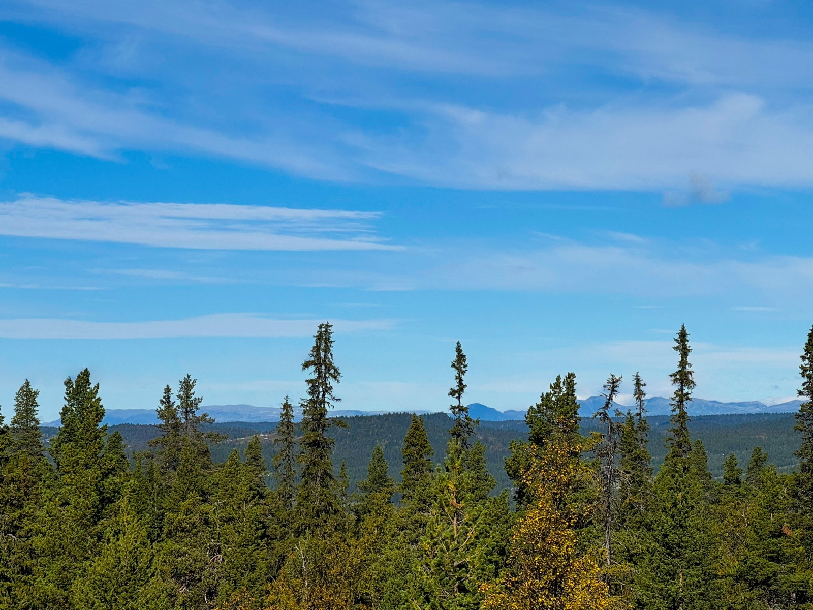 Flott nær og langstrakt utsikt Galleribilde