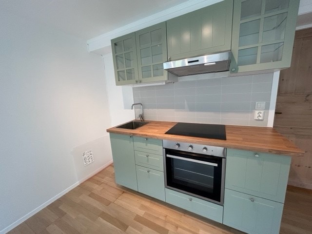 Nytt kjøkken med stekeovn, eier kan sette inn kjøleskap Galleribilde