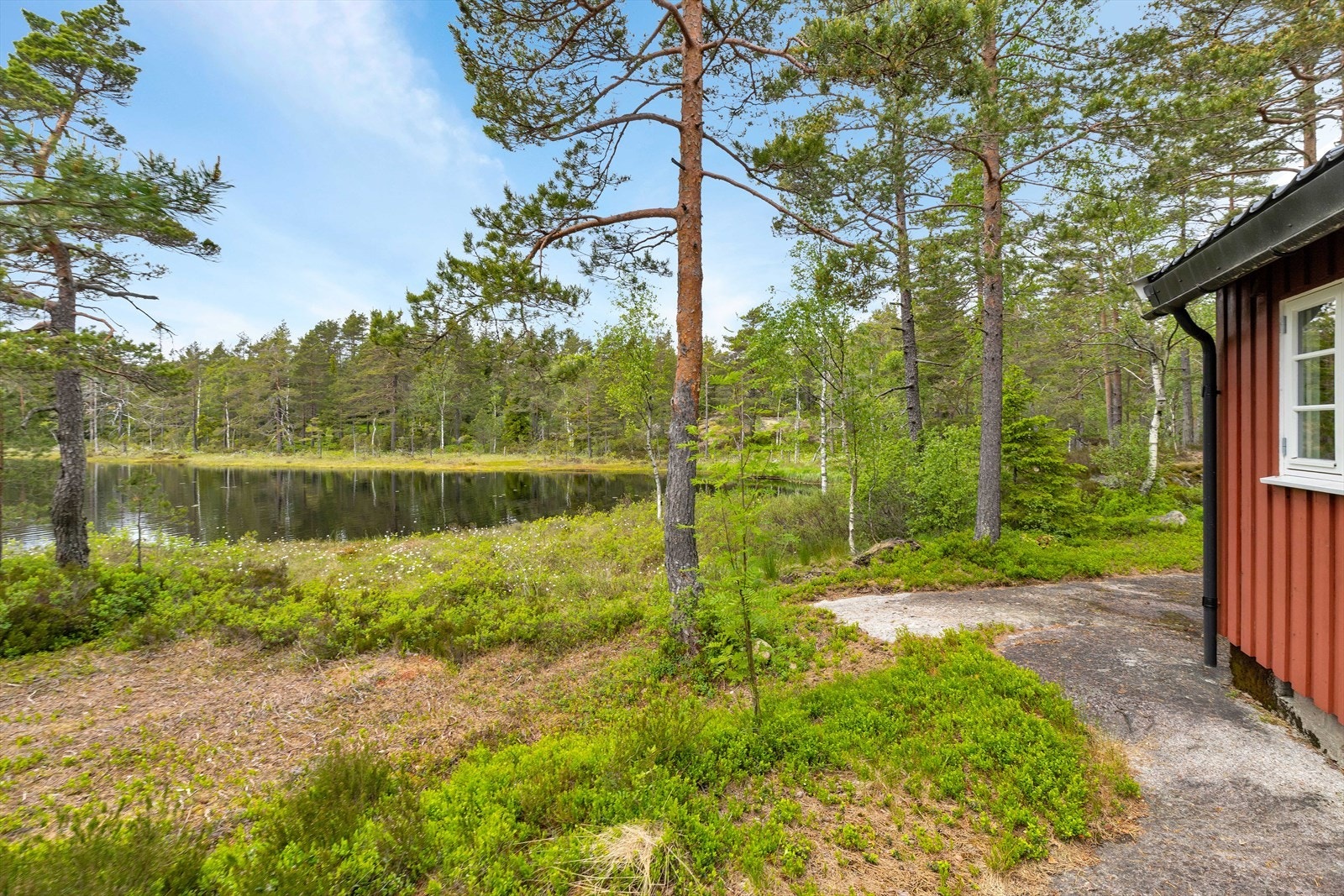 Usjenert og idyllisk beliggenhet. Galleribilde