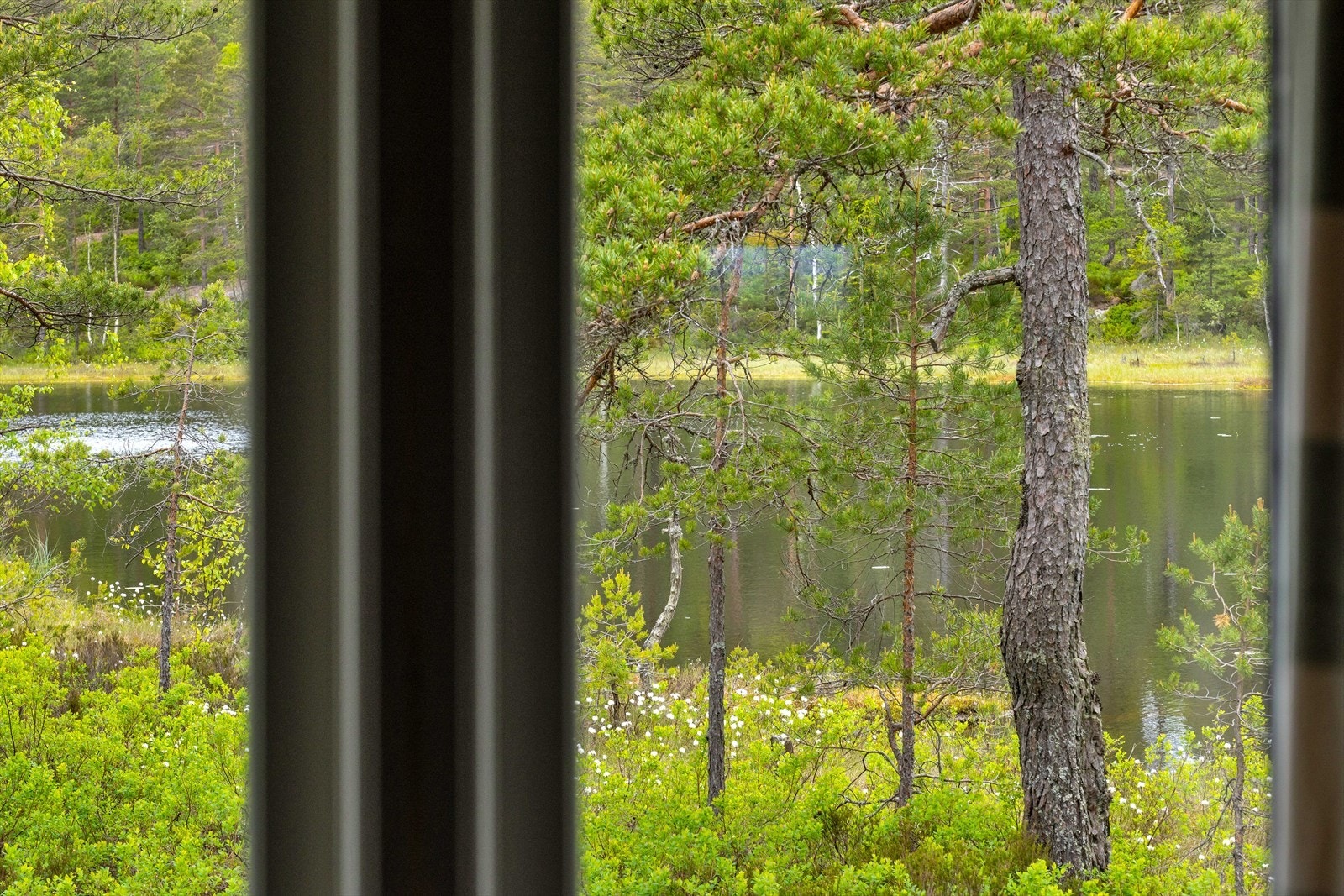 Utsikt fra hytta. Galleribilde