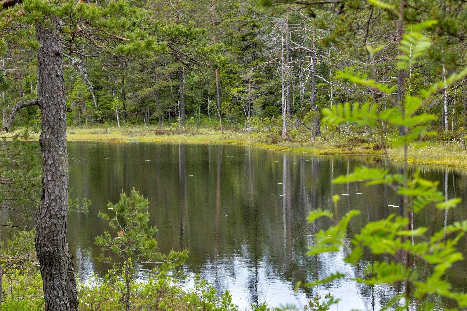 Det er ca 11 km til Birkeland. Galleribilde