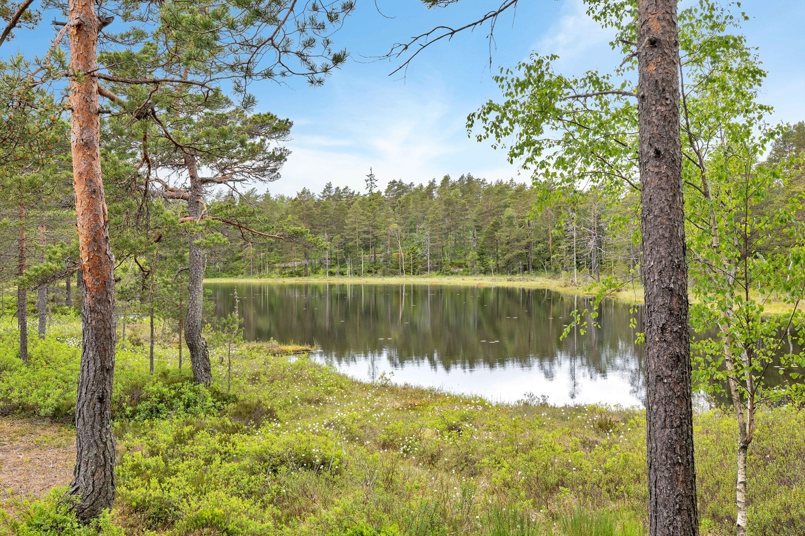 Helt usjenert. Galleribilde