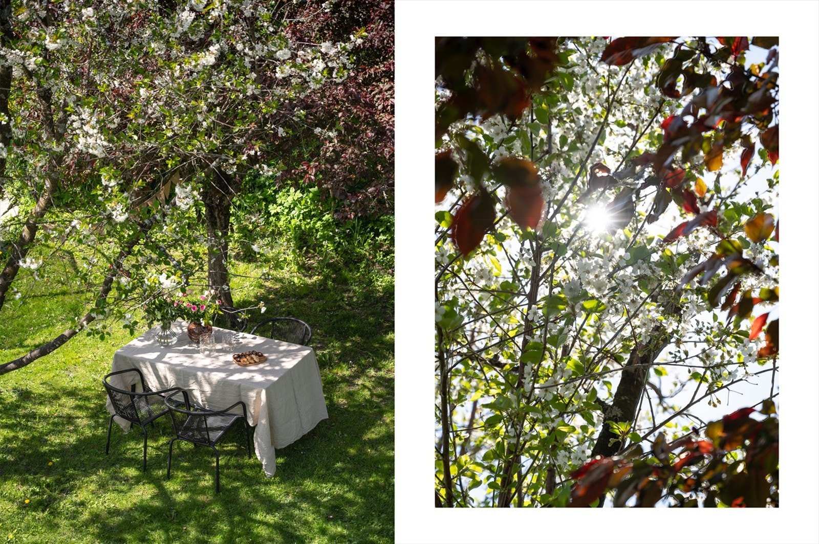 Eiendommen har en attraktiv beliggenhet i et rolig og barnevennlig boligområde på Risløkka i Oslo. Galleribilde