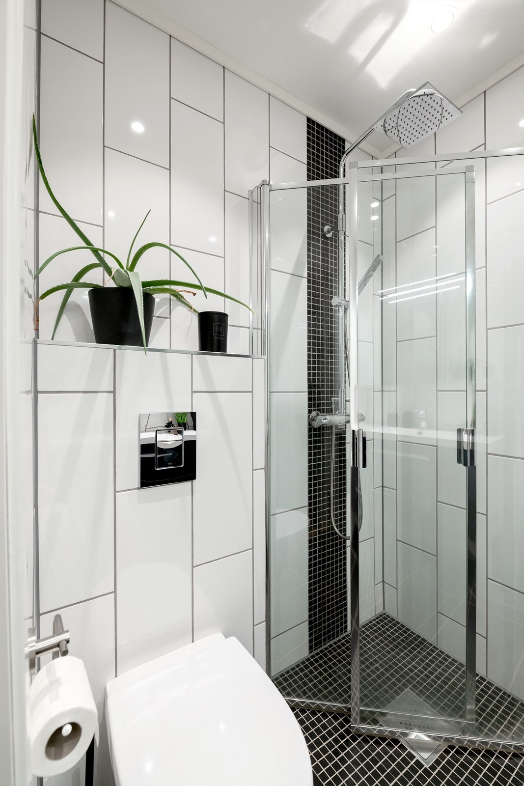 Dusjhjørne med foldbare glassvegger og vegghengt dusjarmatur med hånddusj og regndusj. Vegghengt toalett. Galleribilde