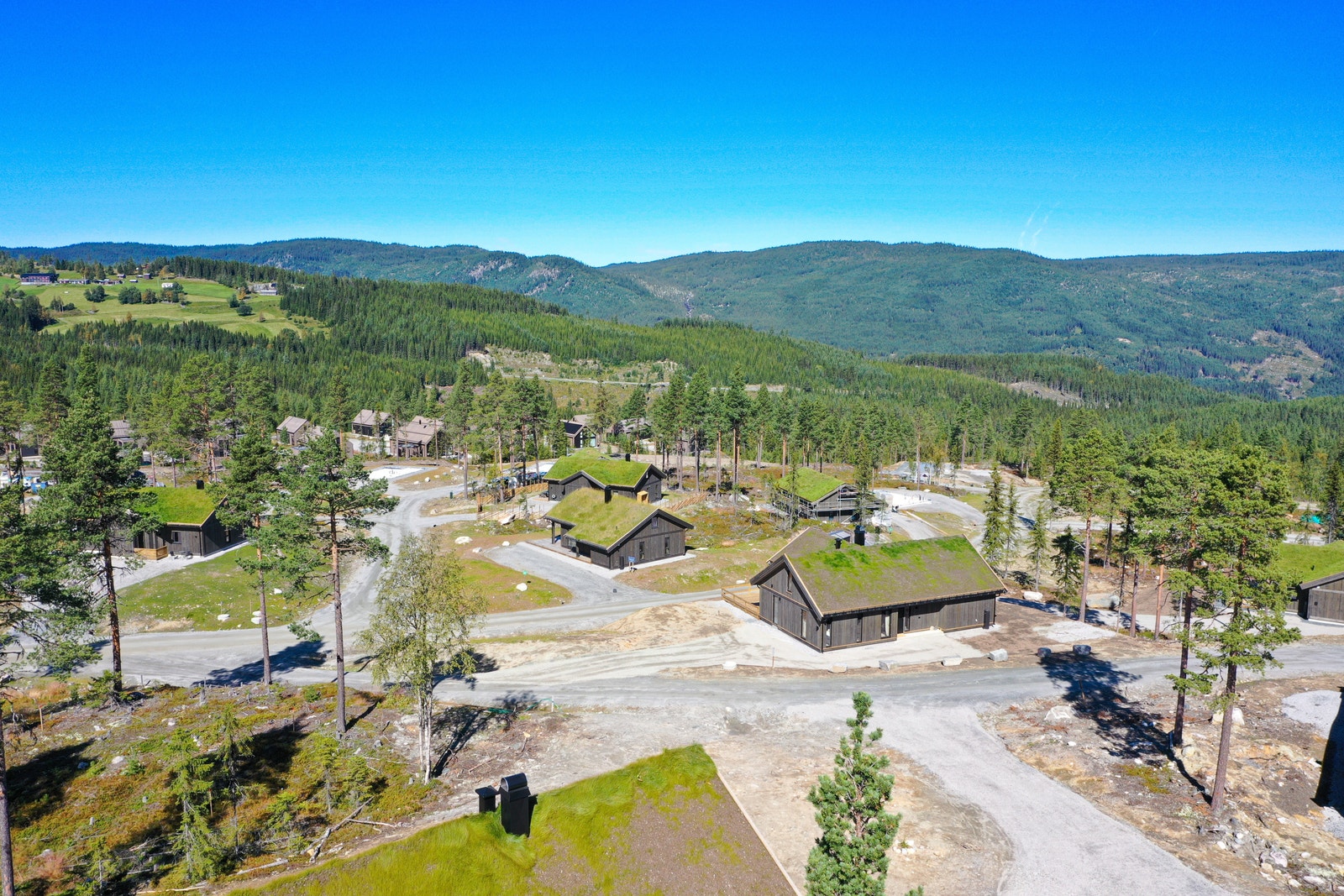 Trinn 1 Galleribilde