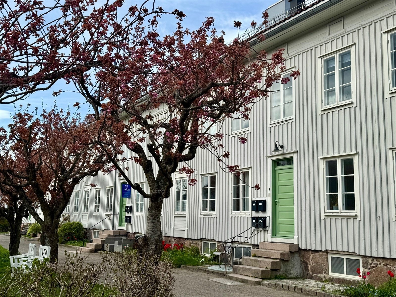 SF5.jpg Galleribilde