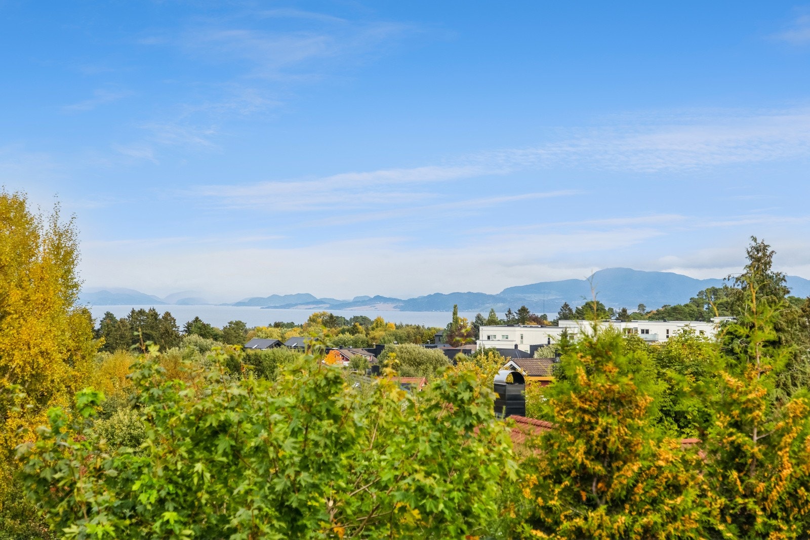 Utsikt fra stuen. Galleribilde