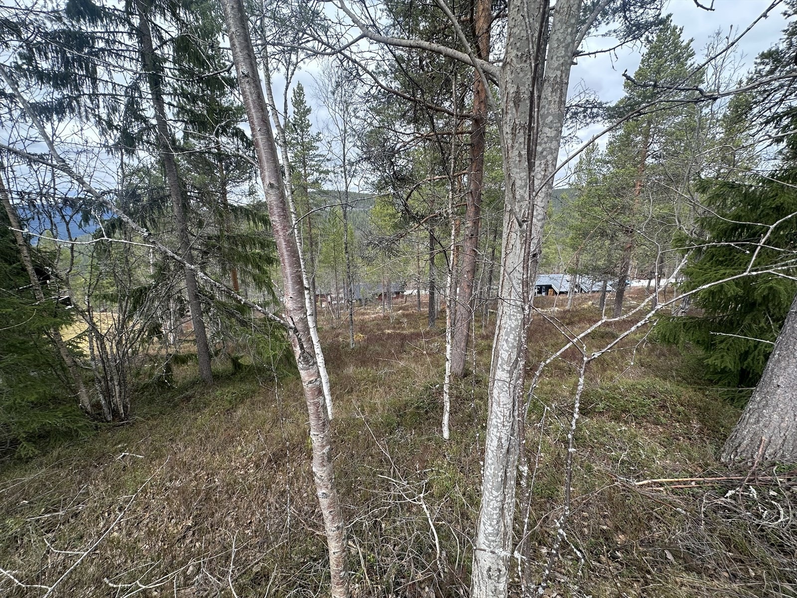 Velkommen til Fjellkreklingen 3! Galleribilde