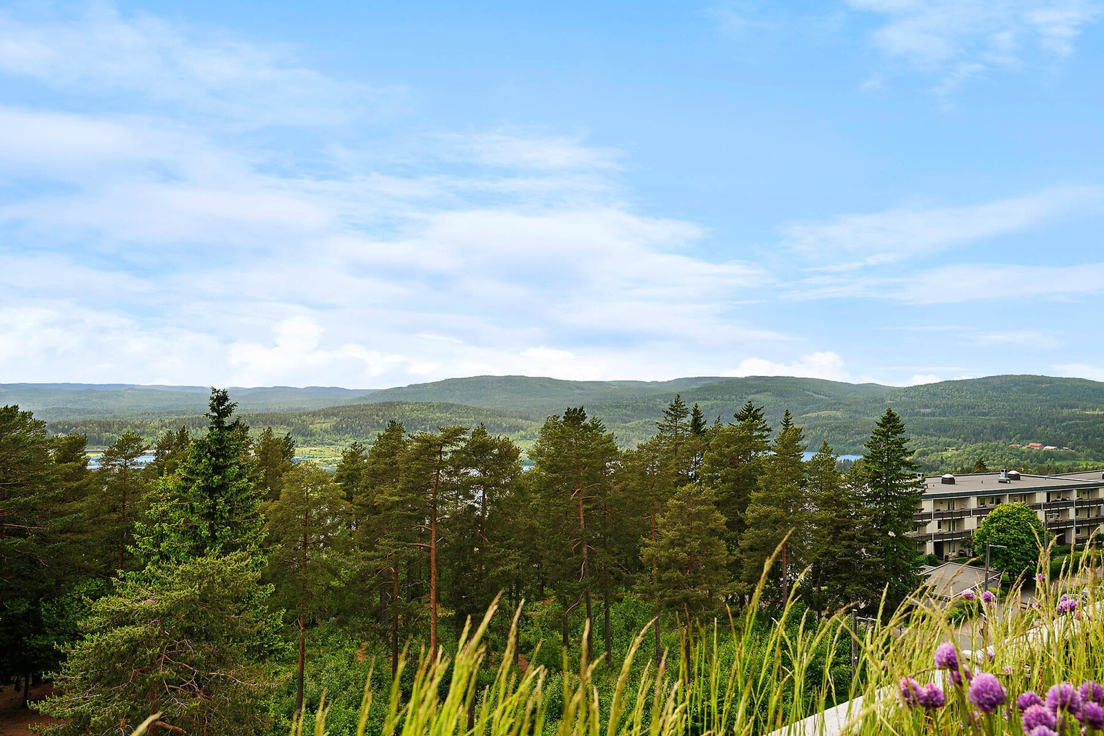 Utsikt fra balkong Galleribilde
