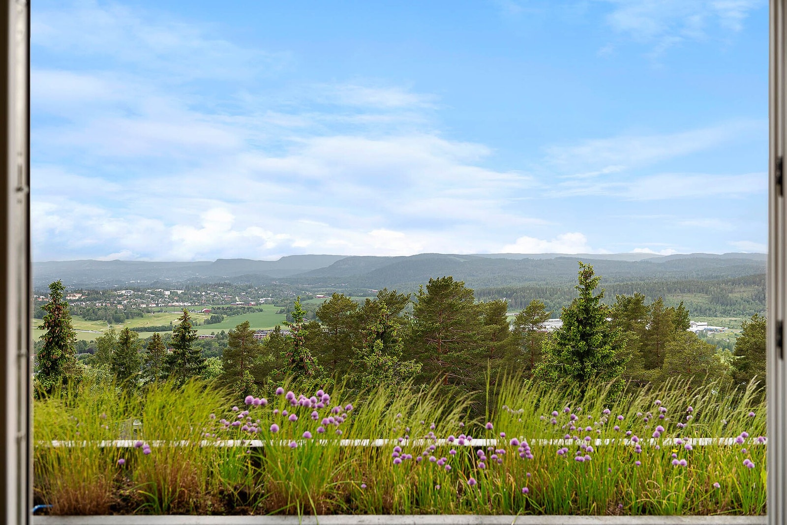 Utsikt mot Bærumsmarka. Galleribilde