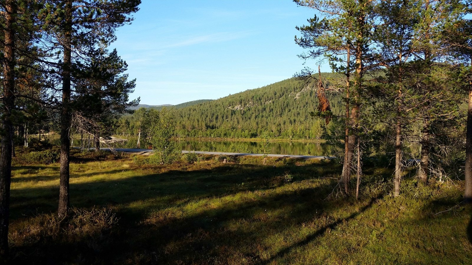 01Fasade_8.jpg Galleribilde