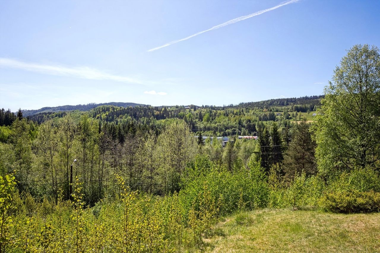 Tomta er i dag noe gjengrodd med kjerr og småbusker - her er det store muligheter! Galleribilde