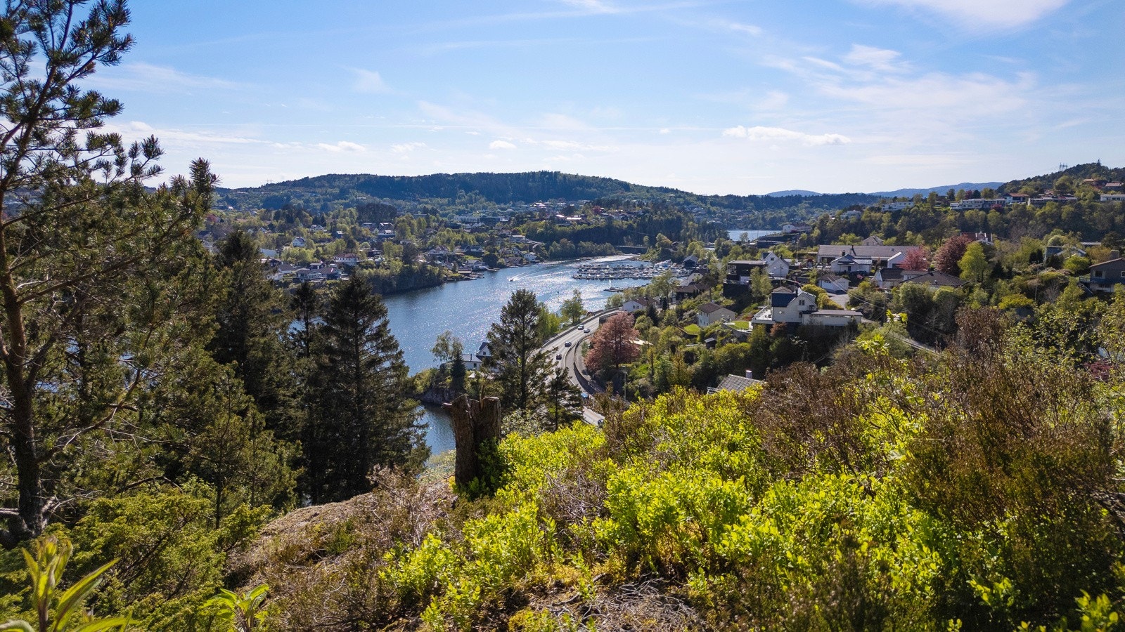 Utsikt fra tomtens øverste punkt Galleribilde