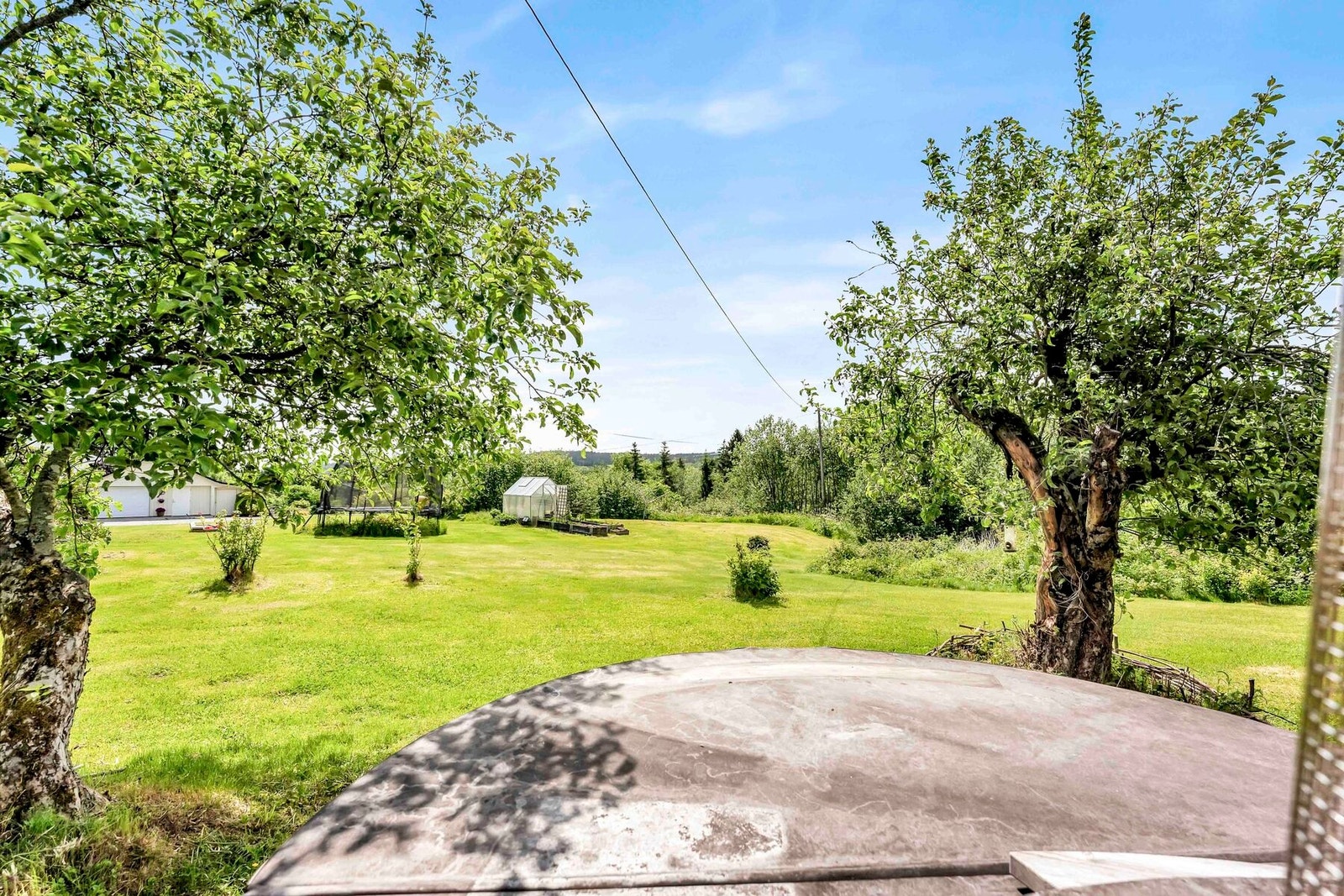 Tomten er frodig og pent opparbeidet med både frukttrær og bærbusker. Selger har dyrket frukt og grønnsaker og vært selvbærende Galleribilde