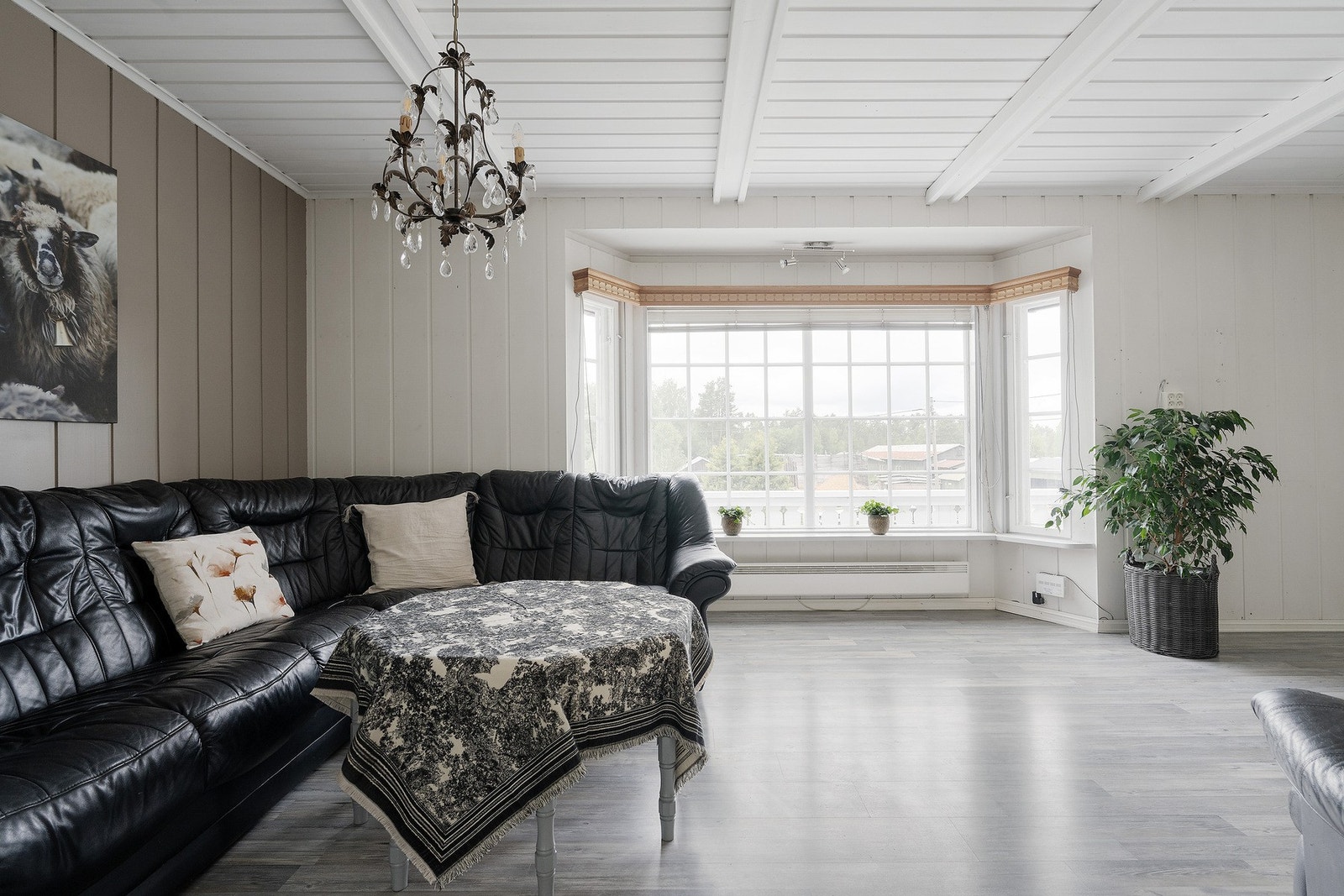 De store vindusflatene slipper inn rikelig med naturlig lys. Galleribilde